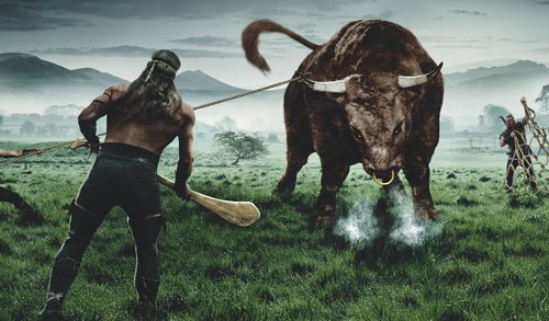 myth bull of cooley