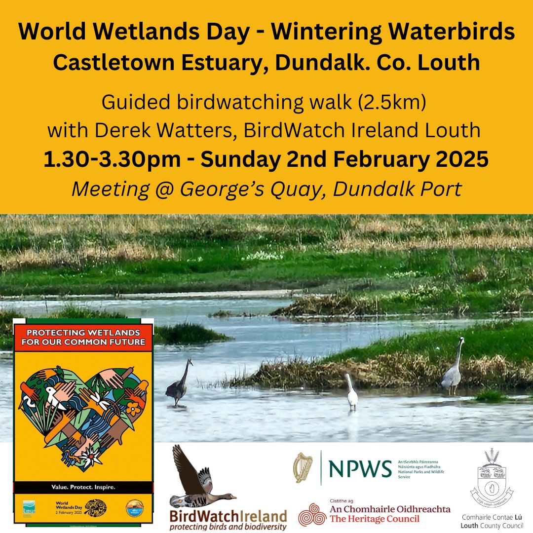 2025-01-29-World-Wetlands-Day-2025