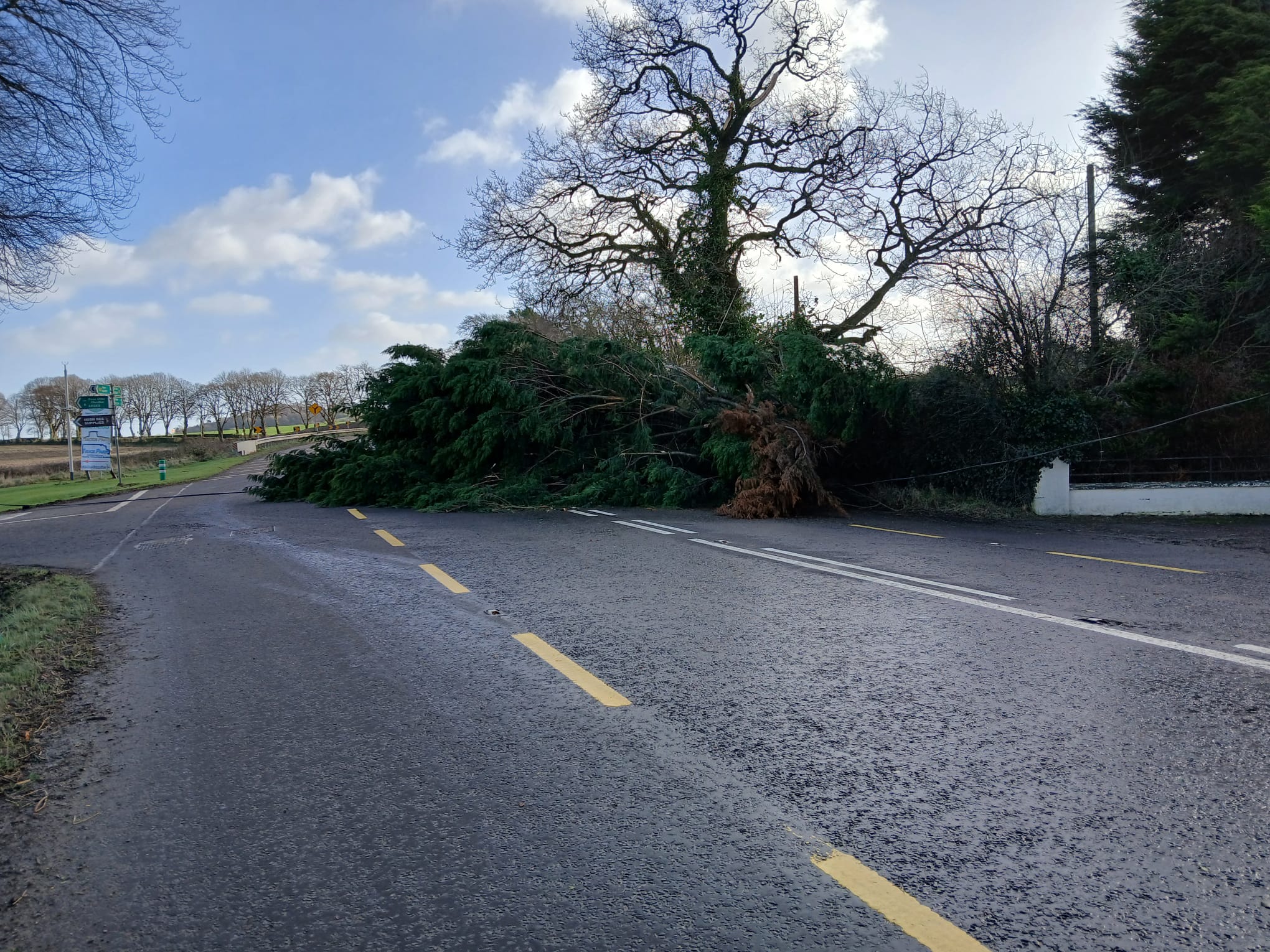 Storm-Eowyn-Damage-(29)