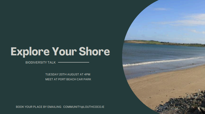 Explore Your Shore- Biodiversity Talk