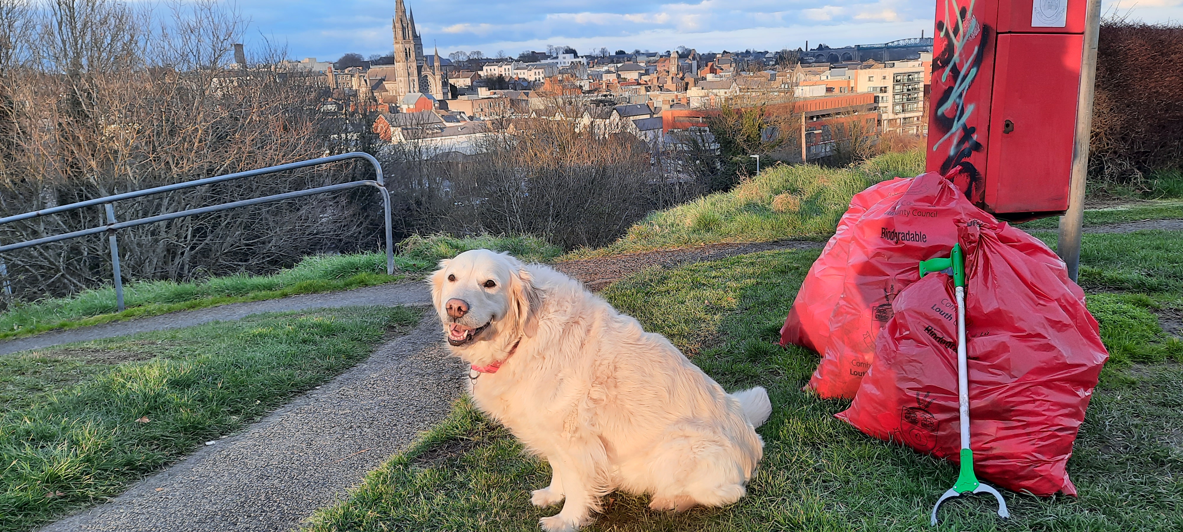 aine-from-cocacola-dog-photo