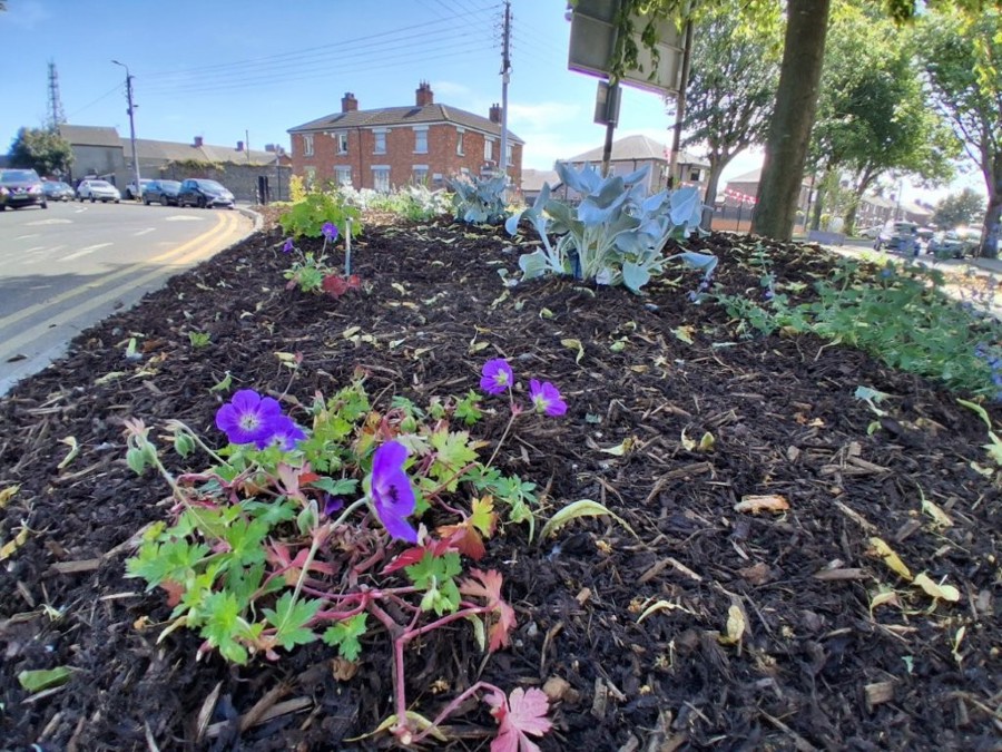 Improvements at The Demesne, Dundalk, including new seating, footpath upgrades, landscaping works and a solar-powered litter bin, were delivered through the Community Recognition Fund by Louth County Council in collaboration with Dundalk Tidy Towns.
