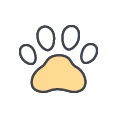 custom-icon