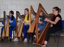 Harps